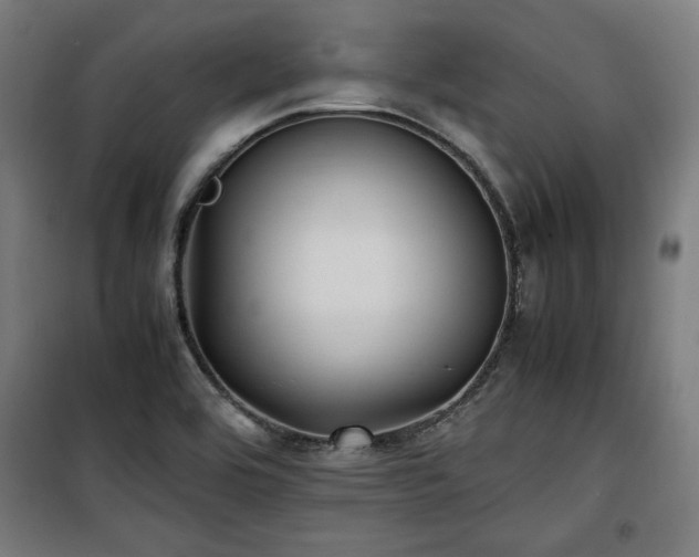 X0000100191464200805301237