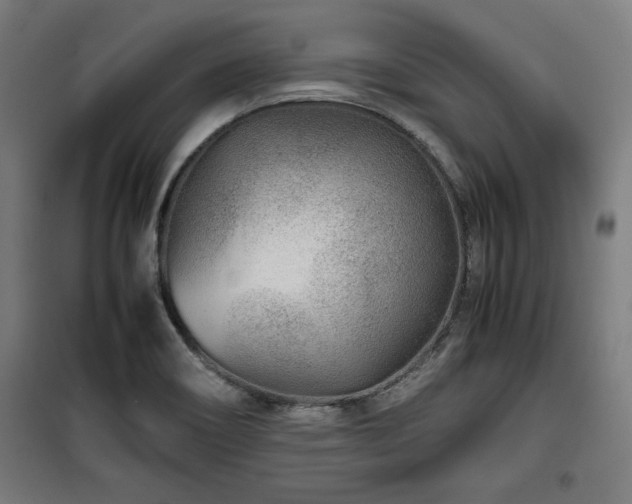 X0000100191466200805301237