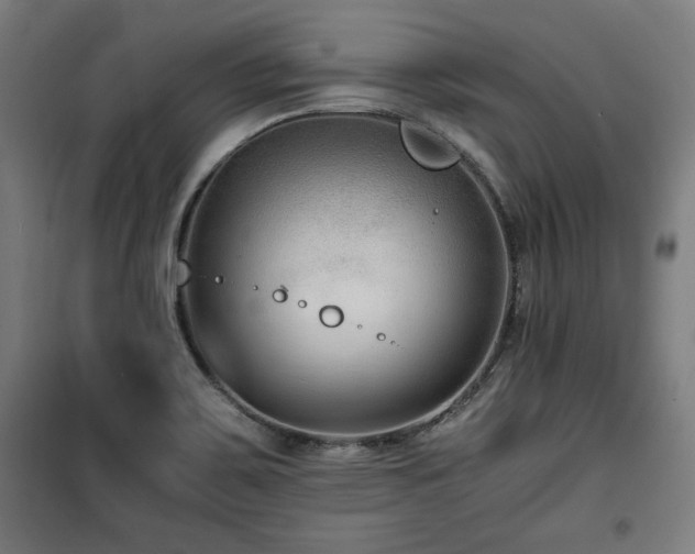 X0000100191467200805301237