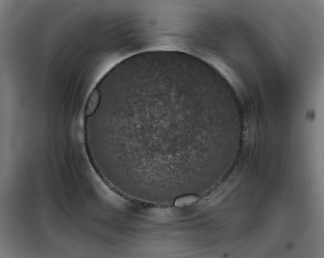 X0000100191468200805301237