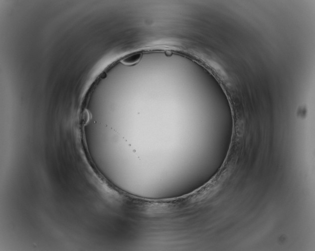 X0000100191470200805301237