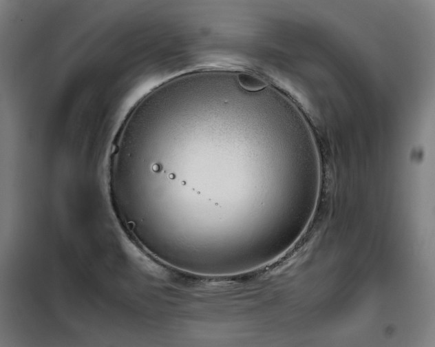 X0000100191471200805301237