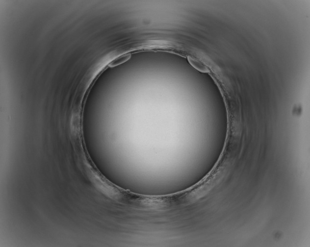 X0000100191473200805301237