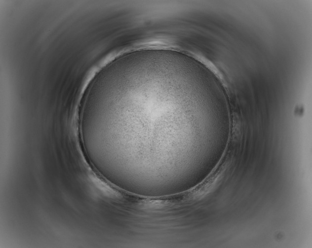 X0000100191474200805301237