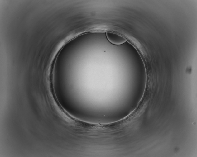 X0000100191475200805301237