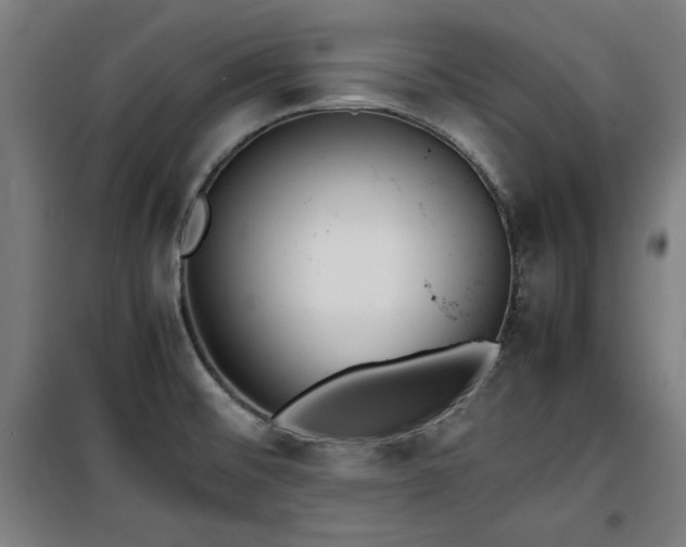 X0000100191476200805301237