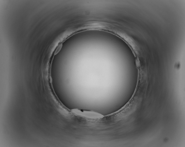 X0000100191477200805301237