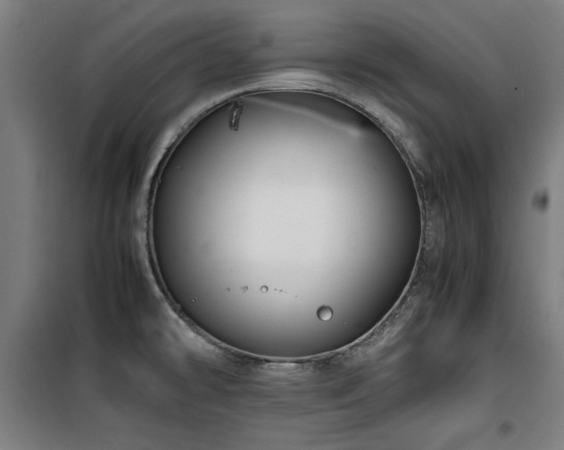 X0000100191478200805301237