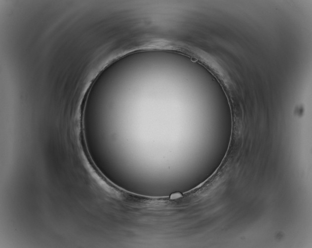 X0000100191479200805301237