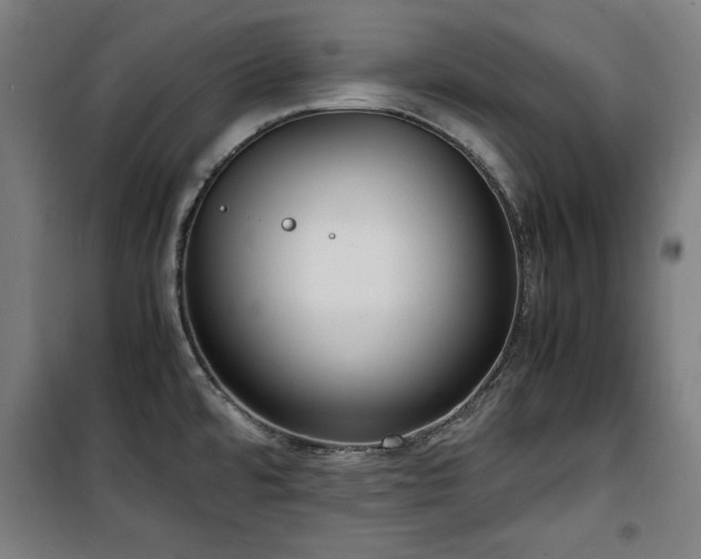X0000100191480200805301237