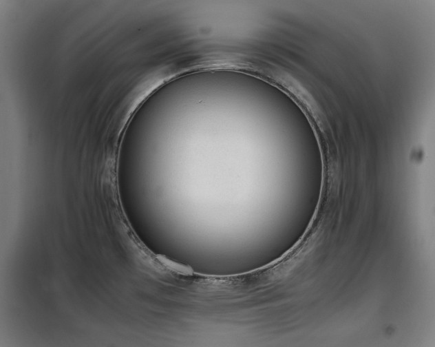X0000100191481200805301237