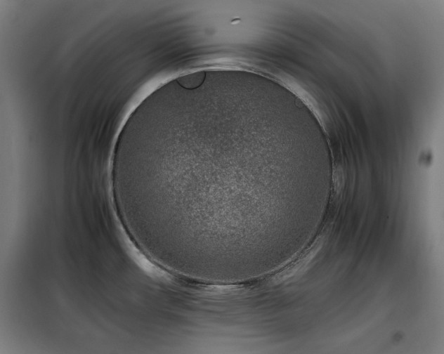 X0000100191482200805301237