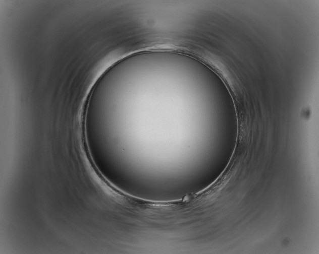 X0000100191483200805301237
