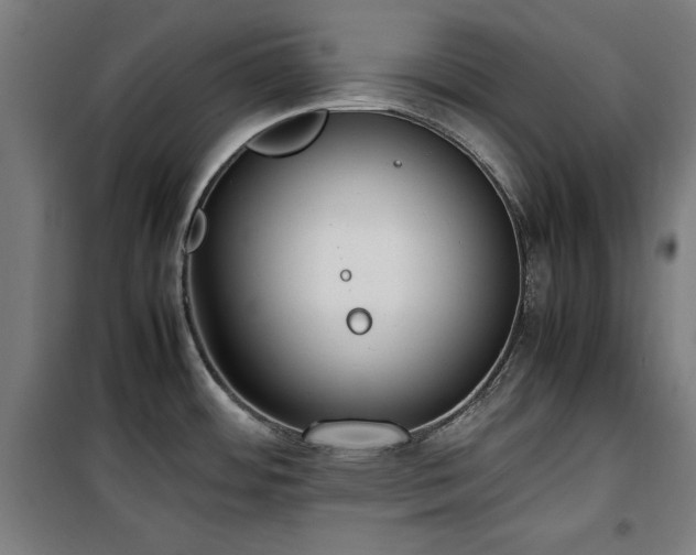 X0000100191484200805301237