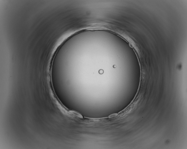 X0000100191485200805301237
