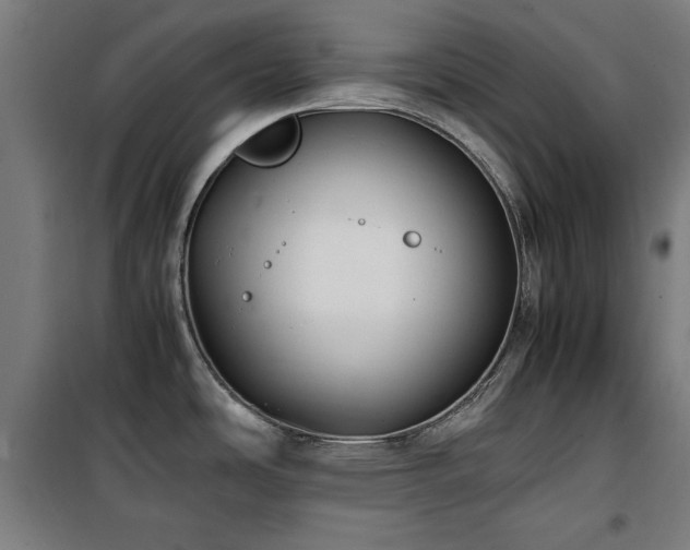 X0000100191486200805301237