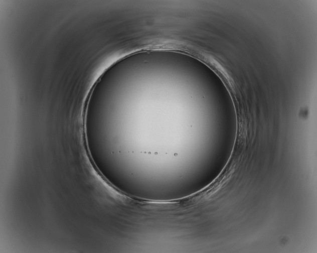 X0000100191487200805301237