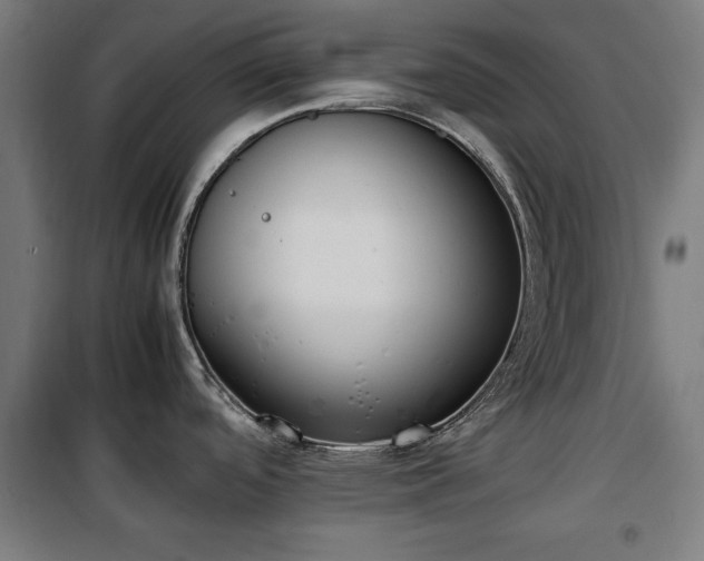 X0000100191488200805301237