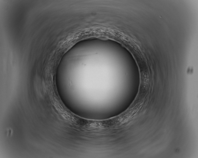 X0000100191489200805301236