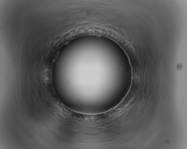 X0000100191490200805301236