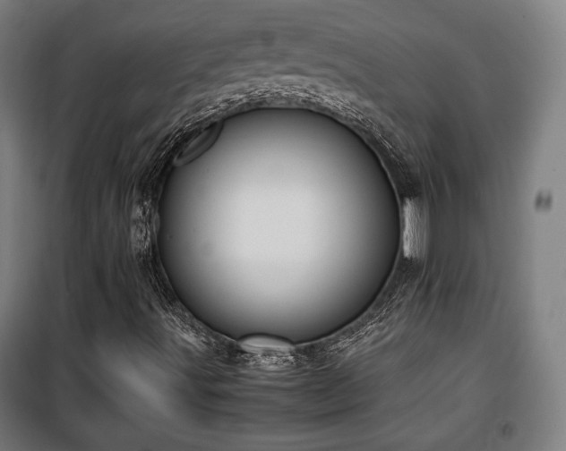 X0000100191491200805301236