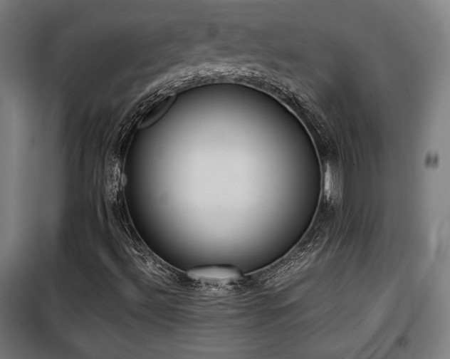 X0000100191492200805301236