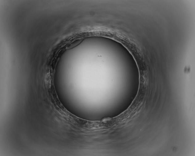 X0000100191493200805301236