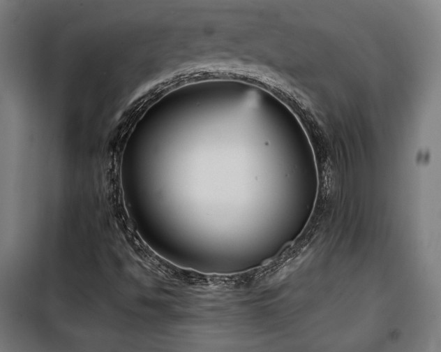 X0000100191494200805301236