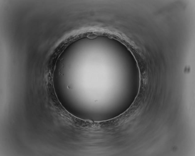 X0000100191495200805301236