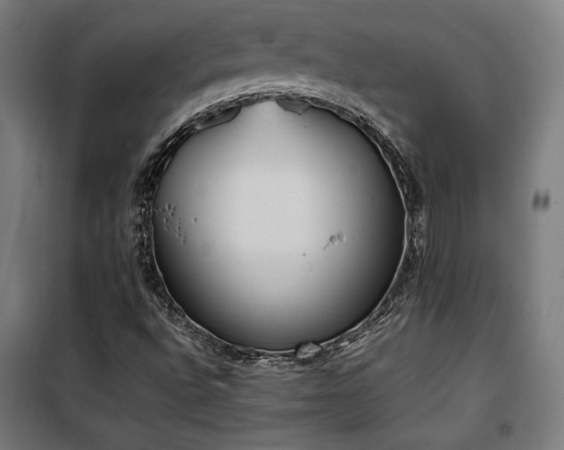 X0000100191496200805301236