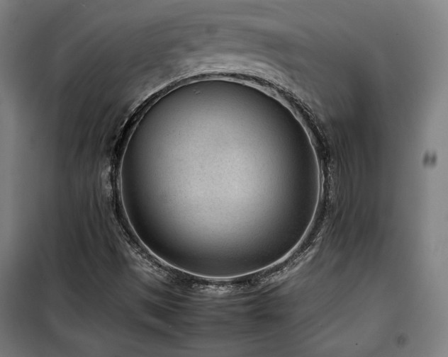 X0000100191497200805301236