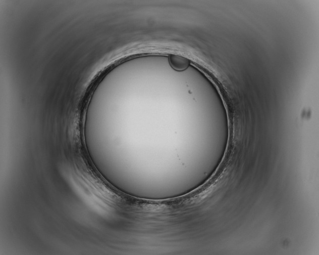 X0000100191498200805301236