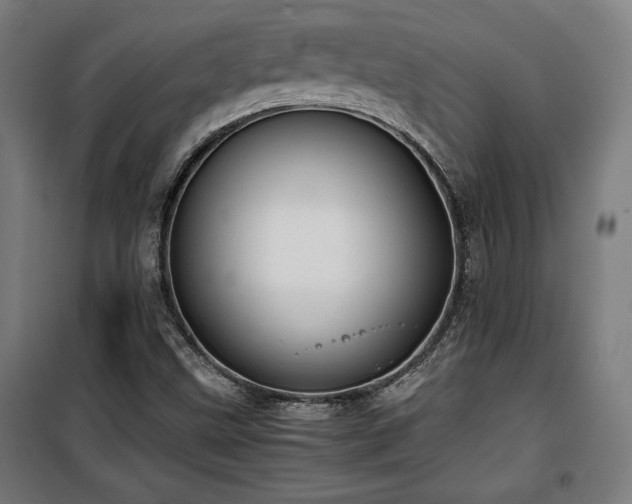 X0000100191499200805301236