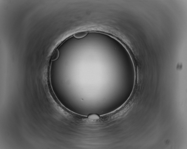 X0000100191500200805301236