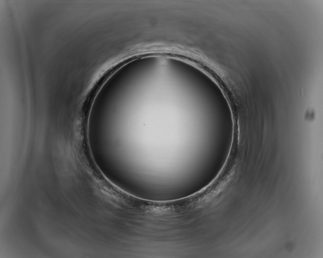 X0000100191501200805301236