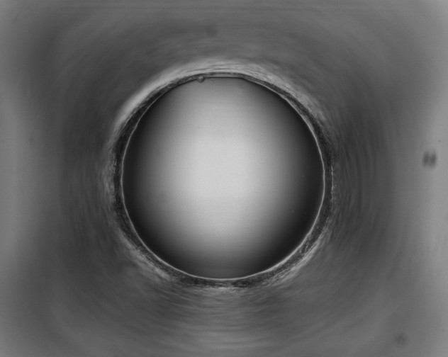 X0000100191502200805301236