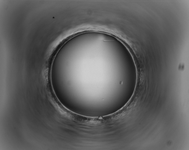 X0000100191503200805301236