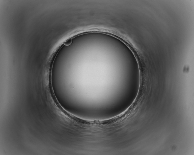 X0000100191504200805301236