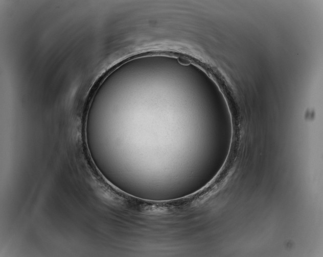 X0000100191505200805301236