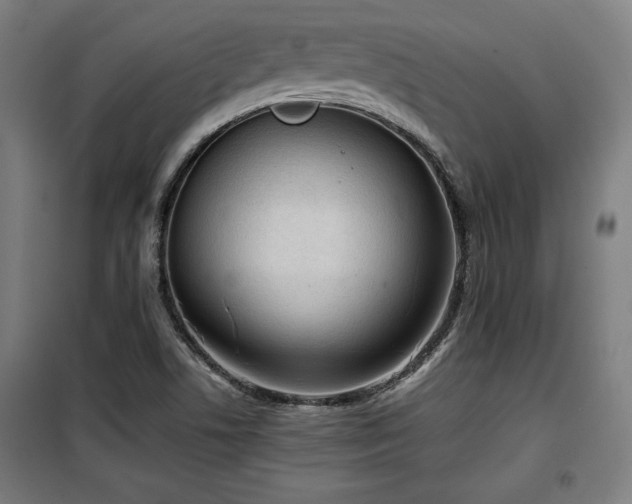 X0000100191506200805301236