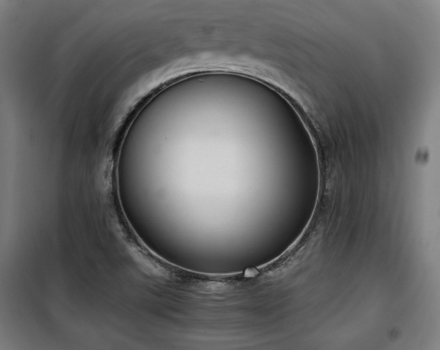 X0000100191507200805301236