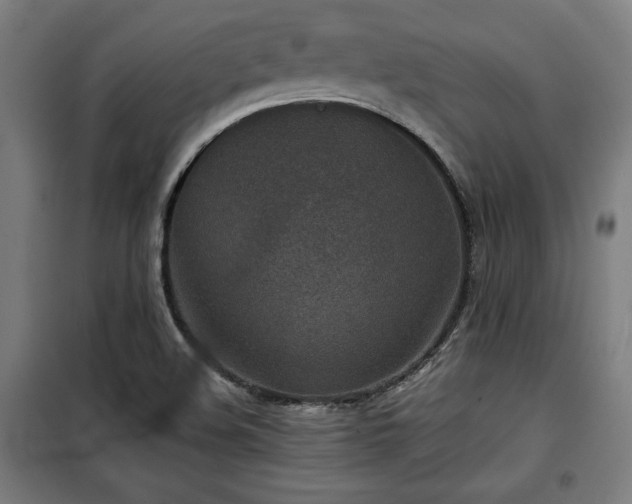 X0000100191508200805301236