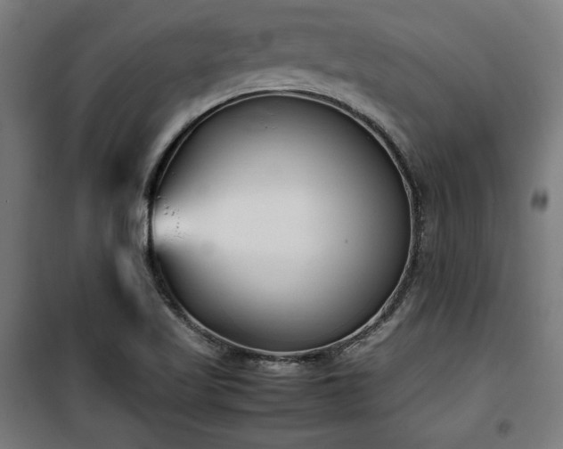 X0000100191509200805301236