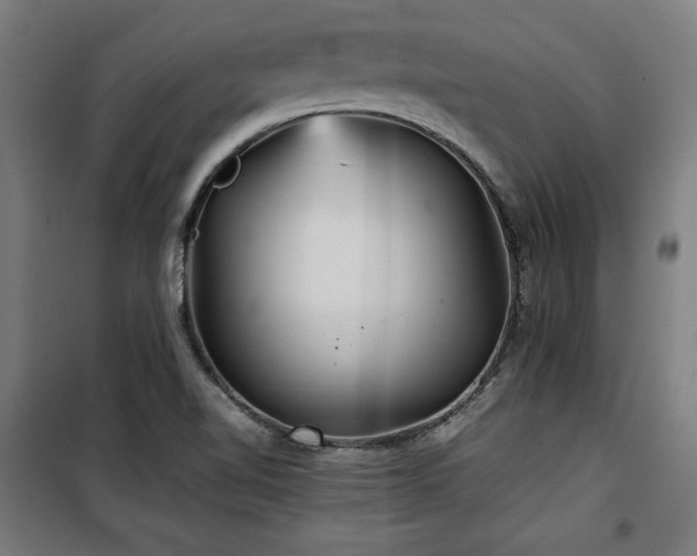 X0000100191510200805301236