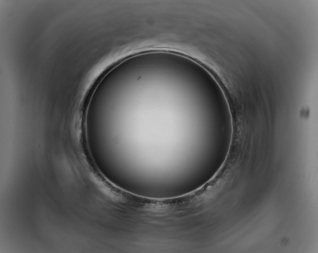 X0000100191511200805301236