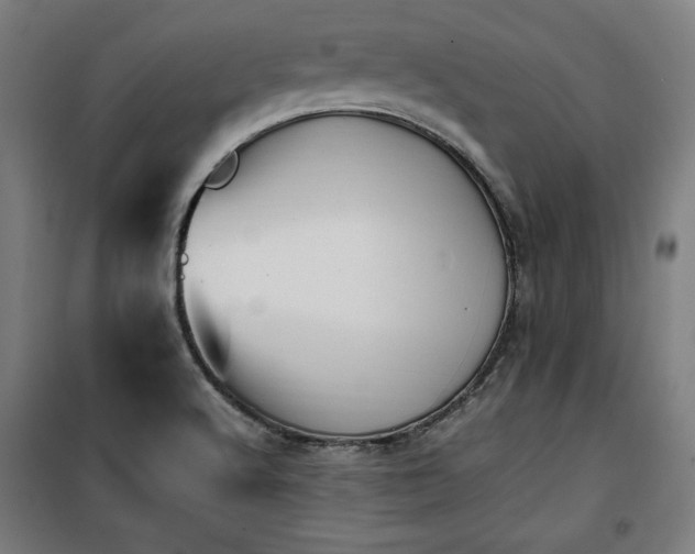 X0000100191512200805301236