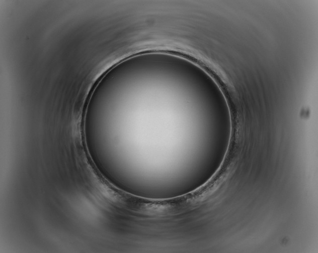 X0000100191513200805301236