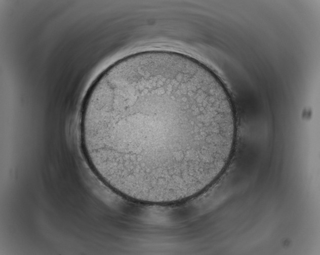 X0000100191514200805301236