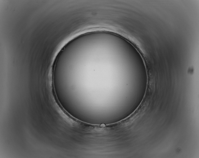 X0000100191516200805301236