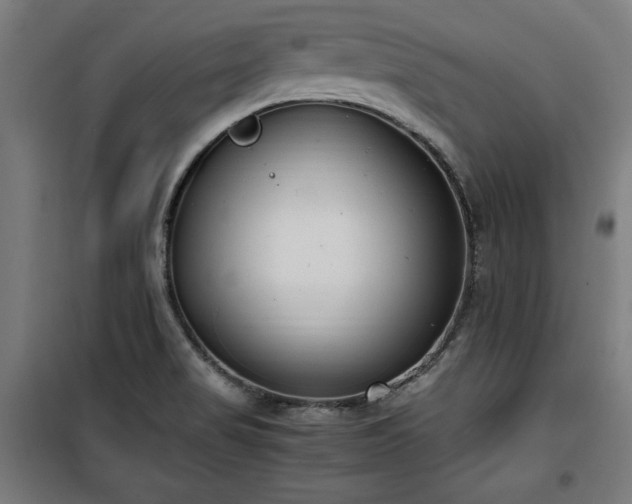 X0000100191517200805301236